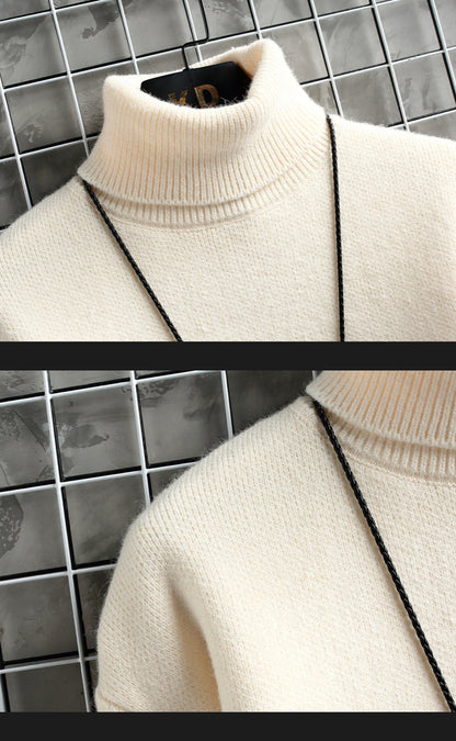 ALVARDE Turtleneck Sweatshirt